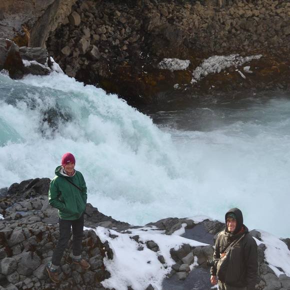 Meet your Posher, Liam - Picture 1 of 1